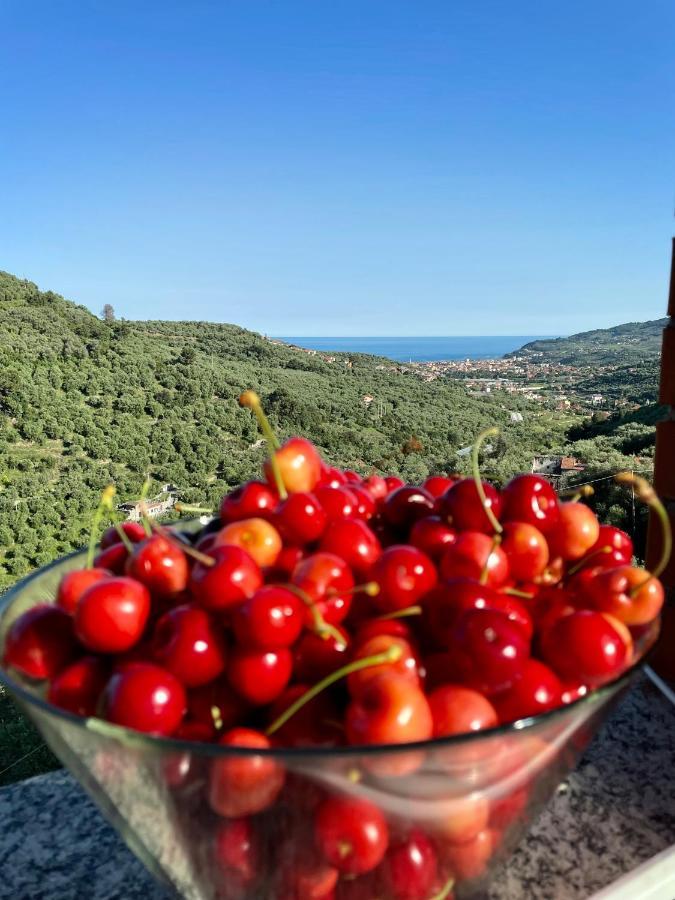 Piccola Navetta Daire Diano San Pietro Dış mekan fotoğraf