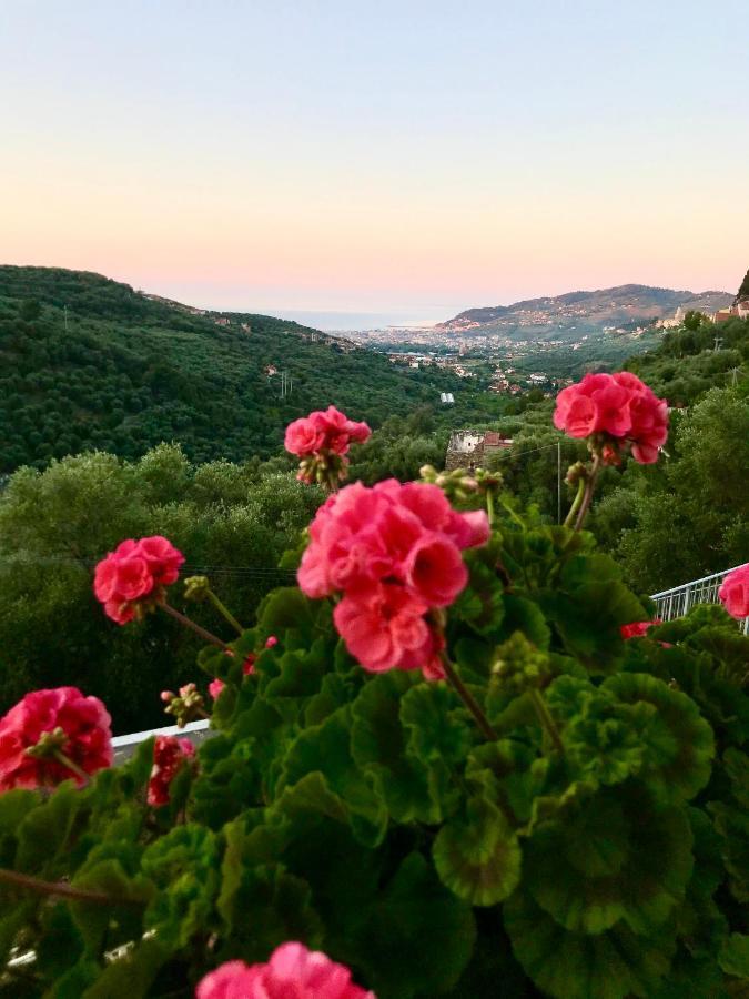 Piccola Navetta Daire Diano San Pietro Dış mekan fotoğraf